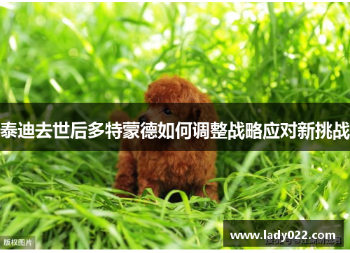 泰迪去世后多特蒙德如何调整战略应对新挑战